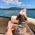 Profile Picture of Crystal Perkins (@crystal.perkins.71) on Instagram