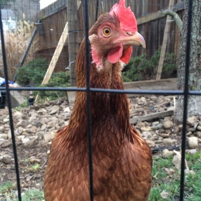 Profile Picture of Jacob Wozniak (@Jake_wozniak5) on Twitter