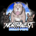 Profile Picture of Lilly💜Minnie💜Crystal💜Lola💖 ABKC & KC Registered 🧬🩸❤️ (@north_west_bully_pups) on Instagram