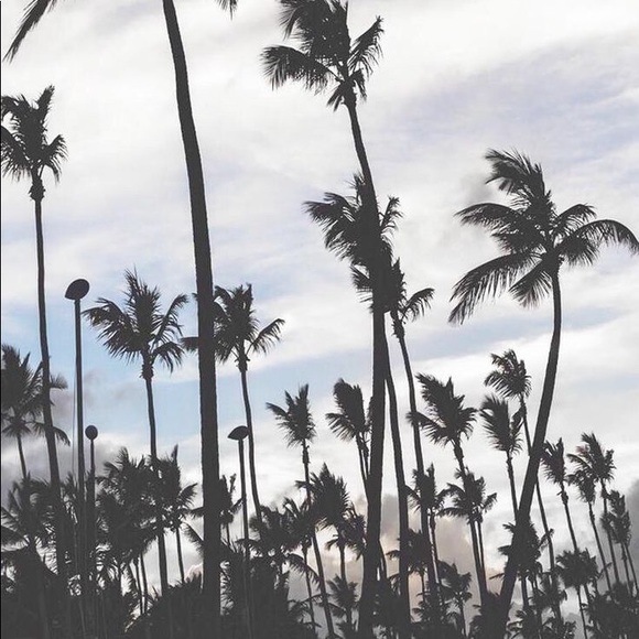 Profile Picture of Kyle Mueller (@kyle909) on Poshmark