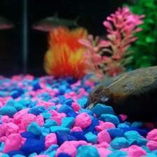 Profile Picture of Kristopher Pérez (@kris_pR19) on Twitter