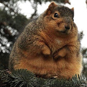 Profile Picture of Nicholas Cervone (@nicholascervone2709) on Youtube