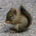 Profile Picture of Robin Emrick-Allen (@colleen0524) on Pinterest
