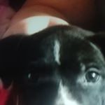 Kyle Storey - Instagram Profile Picture of Kyle Storey (@kyle.storey.14811) on Instagram