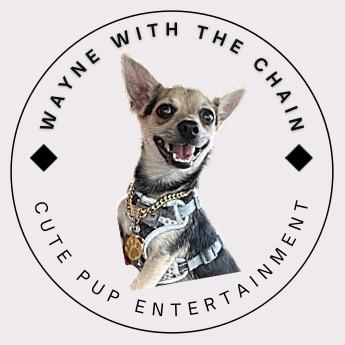 Profile Picture of WAYNE.with.the.CHAIN (@wayne.with.the.chain) on Tiktok