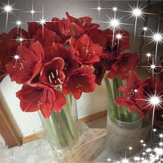 Profile Picture of Edith Mitterböck (@edith.mitterbock) on Facebook