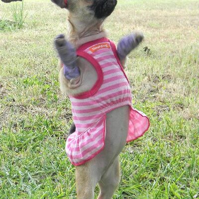 Profile Picture of JoAnn Meriwether (@JoAnnMeriwether) on Twitter