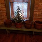 Profile Picture of Nancy Nemec (@nemec556) on Instagram