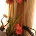 Profile Picture of Carol Dugger (@carol.dugger.357) on Facebook