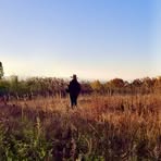 Profile Picture of Christopher Franz (@Christopher-Franz) on Facebook