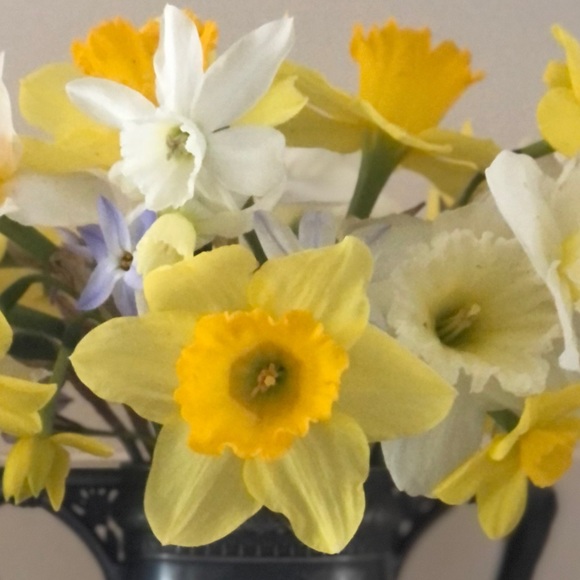 Profile Picture of Laura Quinn (@lariope) on Poshmark