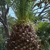 Profile Picture of tam_vickers (@@tam_vickers) on Tiktok