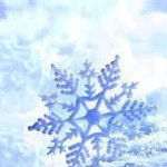 Profile Picture of Kerstin Müller (@kerstin.muller) on Instagram