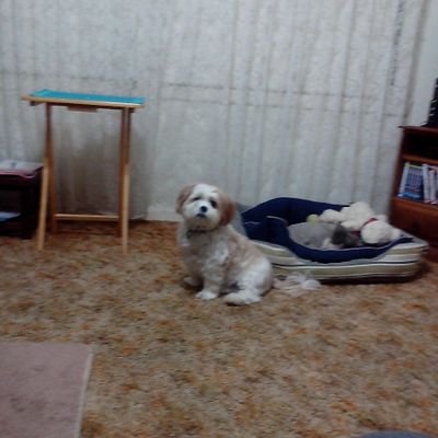 Profile Picture of Jade Rivers (@JadeRivers5) on Twitter