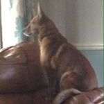 Profile Picture of Debbie Tarry (@debbietarry) on Instagram