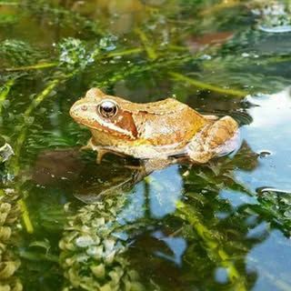 Profile Picture of mark.feltham (@mark.feltham) on Instagram