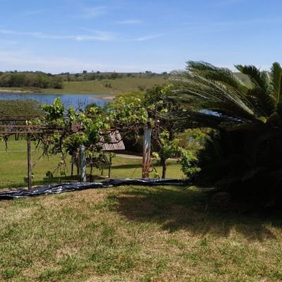 Profile Picture of Leonardo J J Barreto (@LeonardoJJBarr1) on Twitter