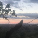 Profile Picture of Franklin Pichardo (@franklin_pichard2) on Instagram