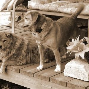 Profile Picture of Robin Gasparino (@157704397) on Myspace