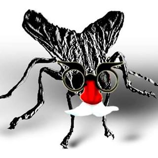 Profile Picture of Jeff Flyer (@Jeff-Flyer) on Facebook