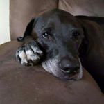 Profile Picture of marshall (@marshallwilder2018) on Instagram