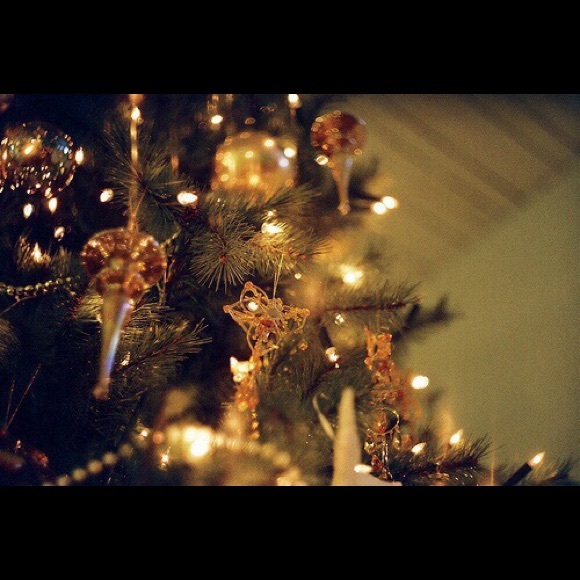 Mayra Galvan - Poshmark Profile Picture of Mayra Galvan (@missmayragalvan) on Poshmark