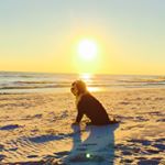 Profile Picture of Janet Hoffman (@shugarhoff) on Instagram
