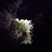 Profile Picture of Brian Langowski (@brian.langowski.1) on Facebook
