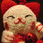 Profile Picture of Cinzia (@cini) on Flickr