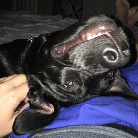 Profile Picture of Andrew Sobiech (@splintrdvisions) on Pinterest