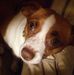 Profile Picture of Susan Blevins Altman (@susan.b.altman.3) on Facebook