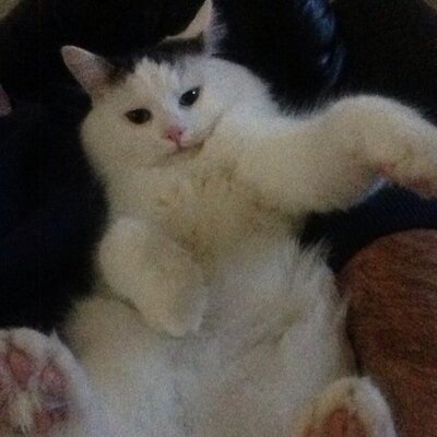 Profile Picture of Adam Halliday (@growler1892) on Twitter