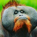 Profile Picture of benjamin zuleta (@zuletabenjamin.7) on Instagram