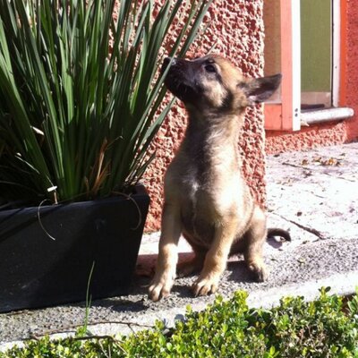 Profile Picture of Andrés Zollinger (@AndrewZoll) on Twitter