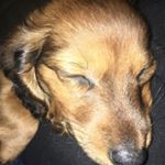 Bryce - Instagram Profile Picture of Bryce (@keenersx4) on Instagram