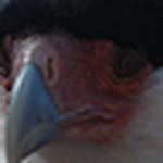 Profile Picture of Daniel  Vidales (@daniel alexander vidales) on Flickr