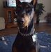 Profile Picture of Peter Weldon (@peter.weldon.31924) on Facebook