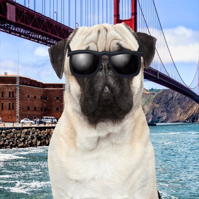 Profile Picture of Jeff Lesher (@killerbeast2525) on Twitter