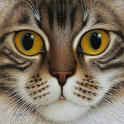 Profile Picture of Sofia Svatko (@sofiasvatko2172) on Youtube