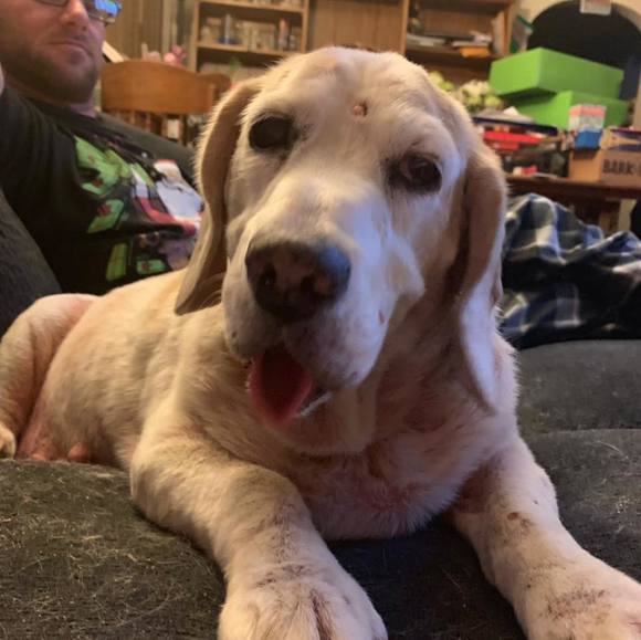 Profile Picture of Sarah Lapsley (@skeegurl0979) on Poshmark