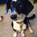Profile Picture of Eric A. Edelson (@Eric-A-Edelson) on Facebook