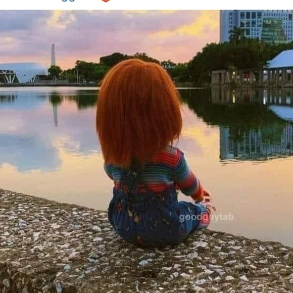 Profile Picture of Lynnette Stewart (@stewartnet) on Poshmark