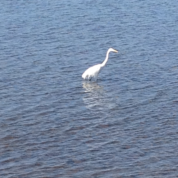 Profile Picture of Debra Newton (@debranewton) on Poshmark