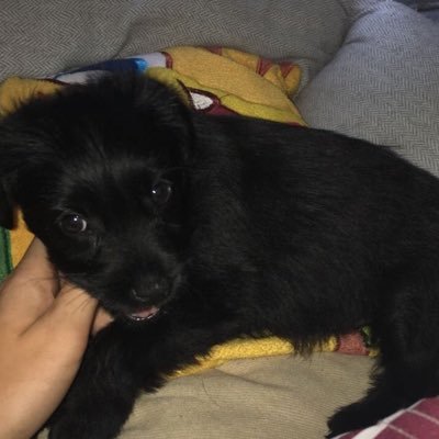 Profile Picture of Niall Kavanagh (@niallka35779517) on Twitter