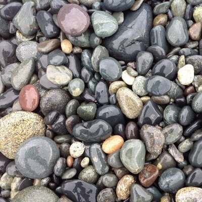 Profile Picture of Jo Ann Lorimer (@Jlo60Ann) on Twitter