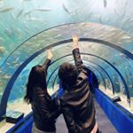 Profile Picture of MAHO (@maho_mar) on Instagram