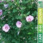 Profile Picture of Connie Pollock (@cpollock64) on Instagram