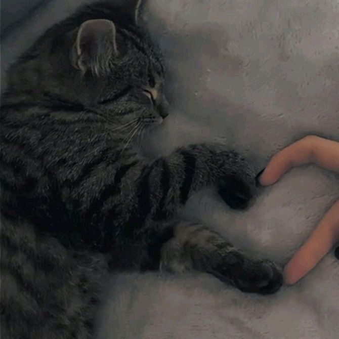 Profile Picture of Maria Bowen (@mary.bowen82) on Tiktok