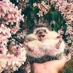 Profile Picture of Jo-Anne Hageman (@joanne_934) on Instagram