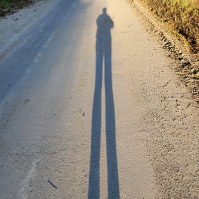Profile Picture of Robin Weaver (@RobinWeaver1327) on Twitter